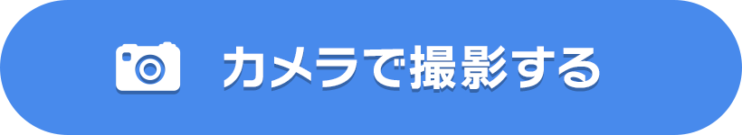 カメラで撮影する